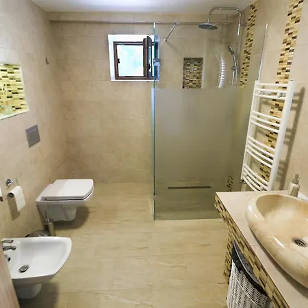 Apartment Nikas Sibiu